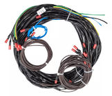 https://m.german.ssycable.com/photo/pd139843935-ul_sgs_gold_plated_waterproof_vehicle_wiring_harness_anti_uv.jpg